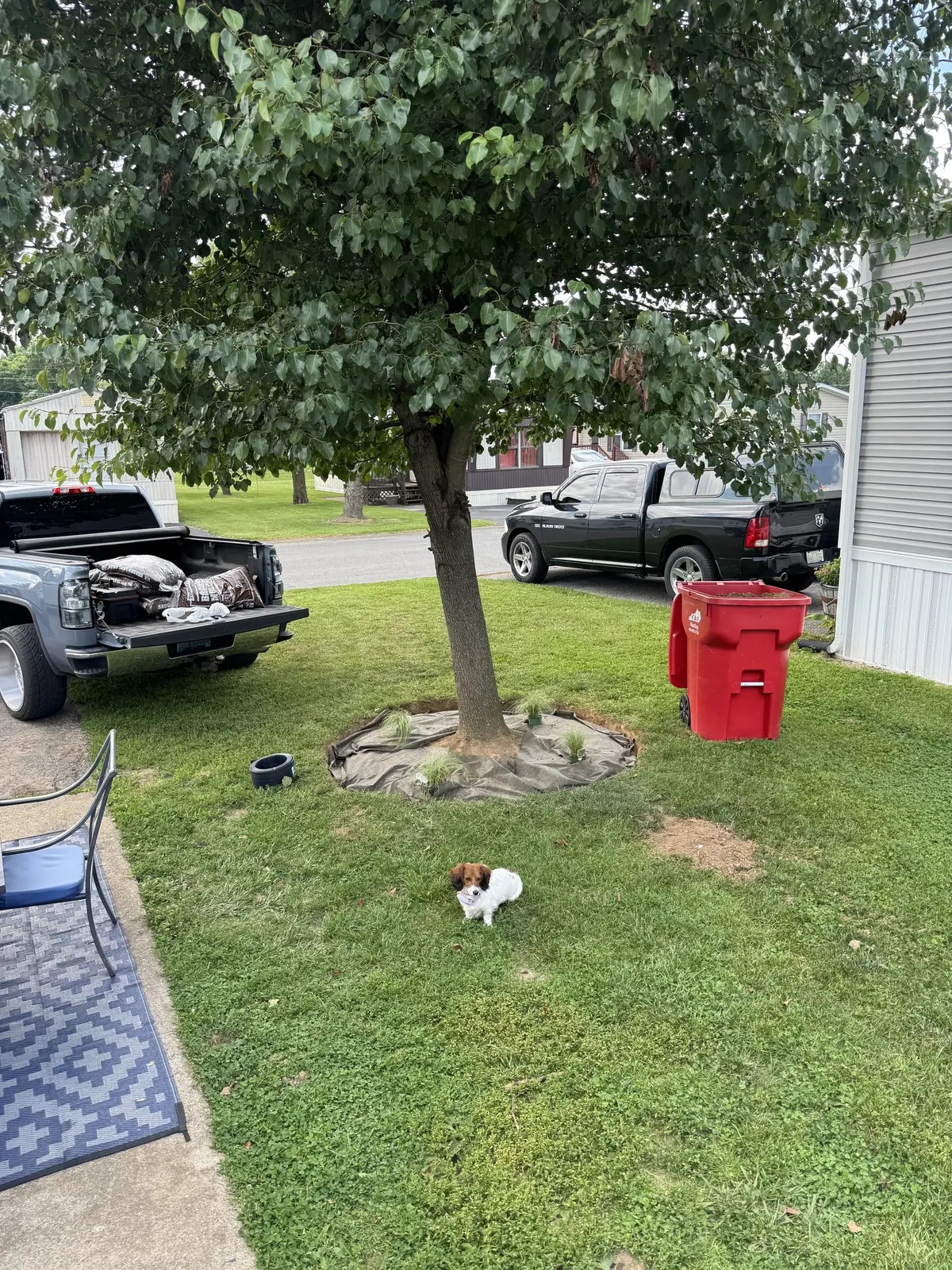 Recent lawn maintenance job — ClearWay Services