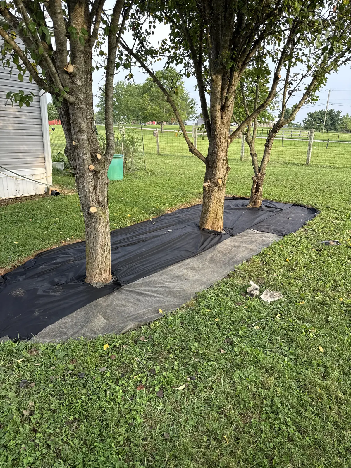 Recent lawn maintenance job — ClearWay Services